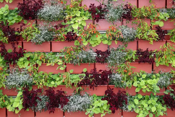 stock image Arrangement of flower plant pots on a vertical wall as space saver.