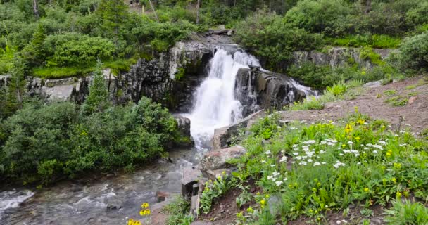 Scenic Water Falls Yankee Boy Basin Colorado Summer Time — Stock Video