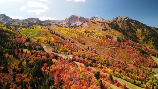 Jasné Podzimní Listí Sněhové Kotlině Údolí Ogden Utah — Stock video