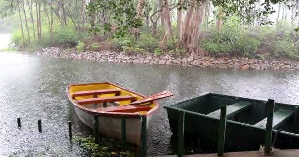 カランジ湖公園の真ん中に インドのマイソール カルナタカで雨の下にボート — ストック動画