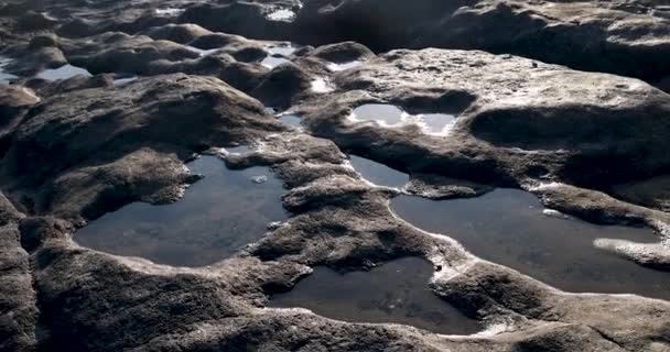 Vulkanische Felsformationen Kap Perpetua Bundesstaat Oregon Pazifikküste — Stockvideo