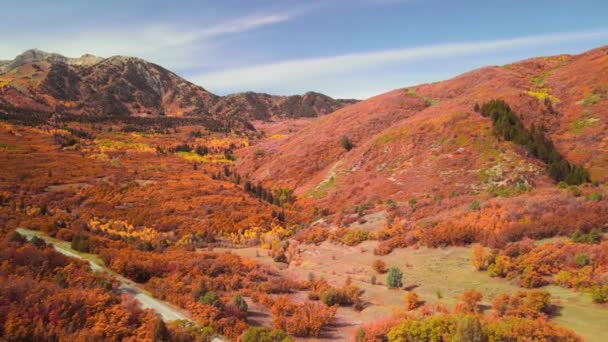 Szenische Landschaft Mit Hellem Herbstlaub Schneebecken Ogden Tal Utah — Stockvideo