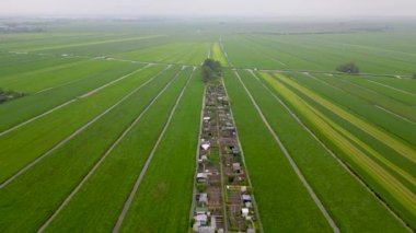 Hollanda 'nın Bodegraven kenti yakınlarındaki tarlaların hava görüntüsü.