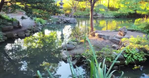 Vista Panorâmica Jardim Japonês Dentro Cranbrook Casa Jardins Michigan — Vídeo de Stock