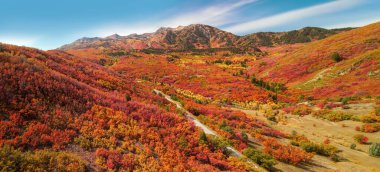 Aerial view of Snow basin landscape in Utah filled with brilliant fall foliage clipart