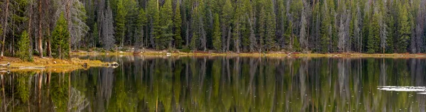 Super Panoramablick Auf Immer Grüne Bäume See Mit Perfekten Spiegelungen — Stockfoto