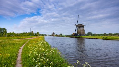 Hollanda 'nın kırsal kesimindeki kanal ve kır çiçeklerinin bulunduğu tarihi yel değirmeni
