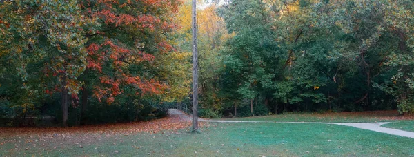 Panoramiczny Widok Kolorowe Drzewa Wzdłuż Hines Jazdy Obszaru Rekreacyjnego Michigan — Zdjęcie stockowe