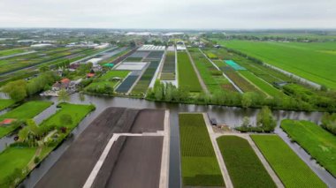 Hollanda 'daki Bodegraven şehri yakınlarındaki tarlaların ve çiftliklerin hava görüntüsü.
