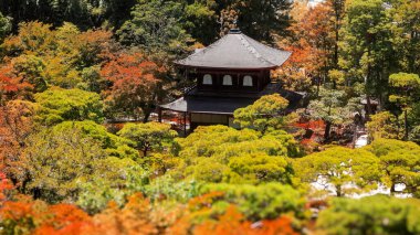 Ginkaku-ji, Japonya 'nın Kyoto şehrindeki Gümüş Pavilion Tapınağı olarak da bilinir..