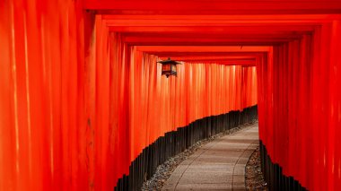 Japonya 'nın Kyoto kentindeki tarihi Fushimi Inari tapınağında arka arkaya birkaç kapı..