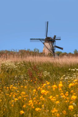 Hollanda 'daki UNESCO dünya mirası sahası Kinderdijk' te tarihi rüzgar değirmeni.