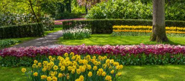 Hollanda 'daki Keukenhof bahçelerinin panoramik manzarası.