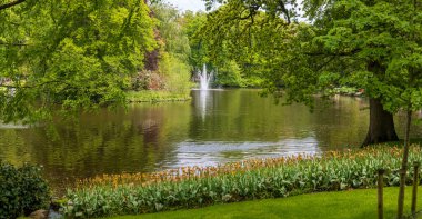Hollanda 'da farklı çiçek tarlaları olan panoramik Keukenhof bahçeleri.