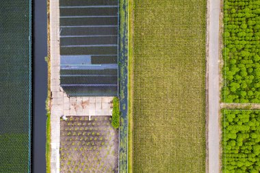 Hollanda 'nın kırsal kesimindeki tarlaların aşağı yönlü görüntüsü.