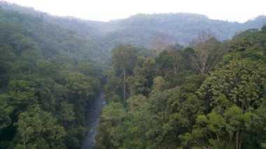 Güney Hindistan 'ın Coorg ilçesindeki tropikal orman, Mandalpatti tepelerinden manzara.