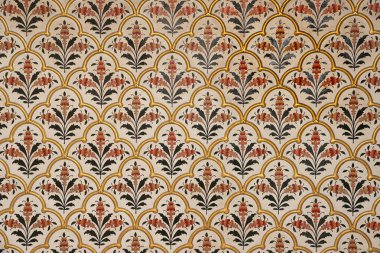 Bikaner, Rajasthan, INDIA - 21 Ekim 2022: Hindistan 'ın Rajasthan kentindeki tarihi Bikaner kalesinin duvarlarında kusursuz dekoratif desen.