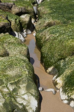 Oregon 'daki Moolack Sahili' nde Pasifik kıyısı boyunca kaya oluşumları..