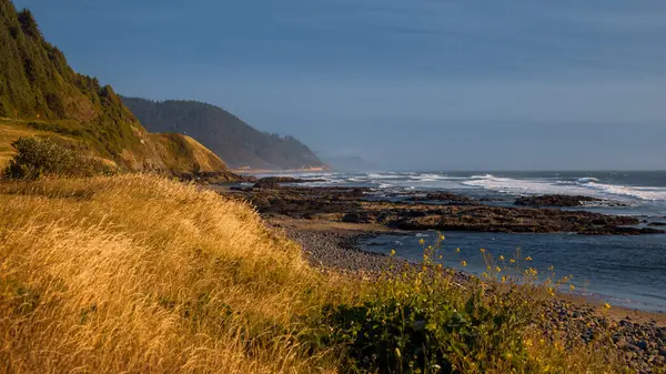 stock image Scenic landscape of Pacific coast in Oregon state during summer time.