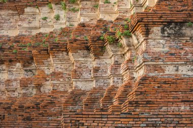 Wat Maha 'nın tarihi kalıntıları. Ayutthaya, Tayland' daki tapınak. Tuğla duvarı kapat..