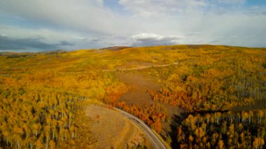 Kuzey Utah 'ta Monte Cristo' daki 39. yol boyunca uzanan parlak sonbahar yeşilliklerinin hava manzarası.