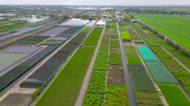 Hollanda 'daki tarlaların, yolların, kanalların hava manzarasının panoramik görüntüsü.