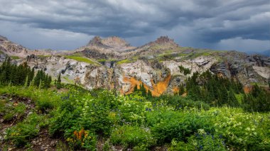 Colorado kayalık dağları yaz mevsiminde kır çiçeği çayırlarıyla kaplı..