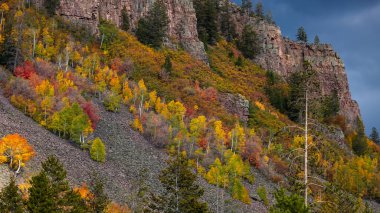 Colorful fall foliage on mountain slopes in Uinta Wasatch Cache National Forest, Utah