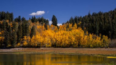 Panoramic view of Fall foliage around Maple lake in Utah valley near Mt Nebo.
