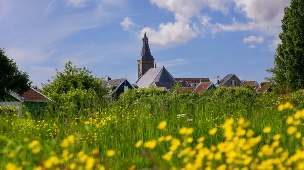 Hollanda 'nın Marken köyündeki tarihi kilise. Baharda sarı kır çiçekleri açıyor..