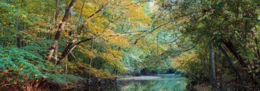 Sonbahar boyunca Michigan 'da Hines yolu boyunca Huron Nehri boyunca uzanan renkli sonbahar yapraklarının panoramik görüntüsü.