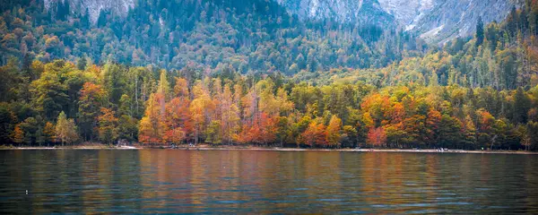 stock image Panoramic view of scenic autumn landscape along Konigssee near Berchtesgaden in Germany.