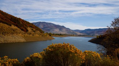 Utah 'taki Geyik Deresi kıyısı boyunca renkli sonbahar ağaçları