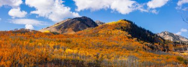 Utah 'taki Wasatch dağ sırasının panoramik manzarası parlak sonbahar yaprakları ve mavi gökyüzü ile kaplıdır. .