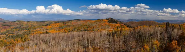 stock image Super panoramic view Wasatch mountain range in Utah covered with bright fall foliage .