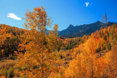 Manzaralı Dallas, San Juan dağlarındaki Ridge yolu yakınlarındaki araziyi ikiye böldü.