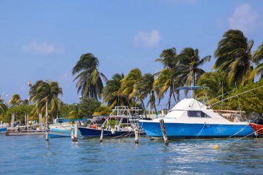 Cancun, Meksika - 25 Şubat 2023: Meksika 'daki Isla Mujeres kıyı şeridinde birçok renkli turist teknesi.
