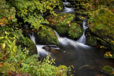 Manzaralı Triberg suyu Kara Orman, Almanya 'ya dökülüyor. Uzun pozlu çekim.