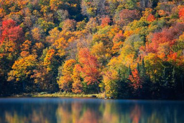 Yeni İngiltere manzarası, sonbahar ağaçları mavi gölde yansıyor..