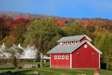 Kırsal Vermont 'ta renkli sonbahar yapraklarıyla ahır..