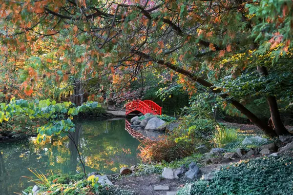 Stock image Traditional red bridge in Japanese garden during autumn time.Detroit, Michigan