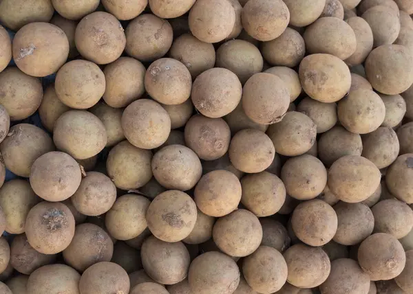 stock image Pile of fresh Sapota fruits in the market in India.