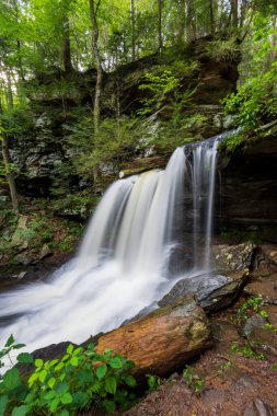 Yazın Pennsylvania 'daki Ricketts Glen Eyalet Parkı' nda çağlayan şelaleler..