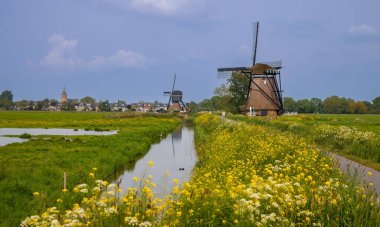 Achtkante Molen, Hollanda 'da Streefkerk yakınlarında kır çiçekleriyle kurulmuş tarihi bir rüzgar değirmeni..