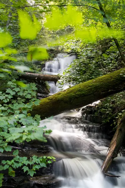 Yazın Pennsylvania 'daki Ricketts Glen Eyalet Parkı' nda çağlayan şelaleler..