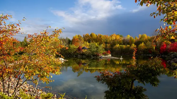 stock image Panoramic view of colorful fall foliage along side of lake at Japanese garden in Frederik Meijer gardens ,Grand rapids, Michigan