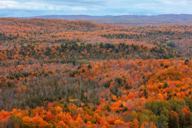 Michigan üst yarımadasındaki Black River Ulusal Ormanı 'nda parlak sonbahar yaprakları, ABD.