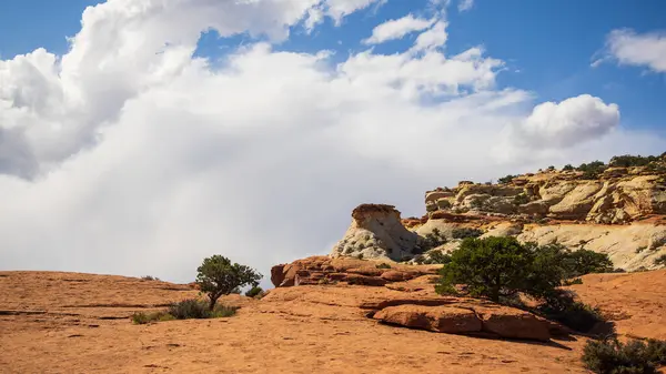 ABD 'nin Utah kentindeki Capitol Resifi yakınlarındaki Red Rock uçurumlarının panoramik görüntüsü.