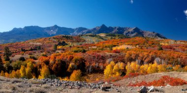 Manzaralı panoramik Dallas, sonbaharda San Juan dağlarındaki Ridge yolu yakınlarındaki araziyi ikiye böldü..