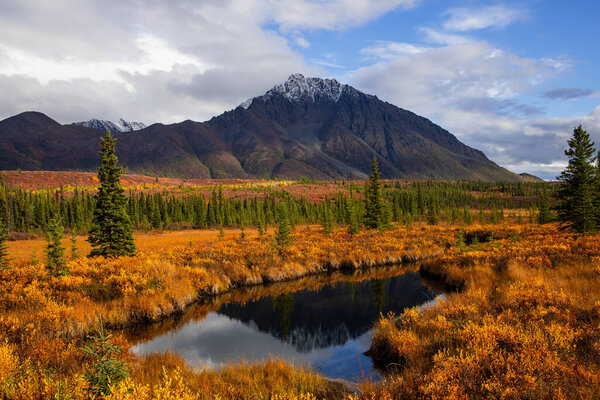 Живописный пейзаж Тундры на Аляске с горным отражением в маленьком пруду.